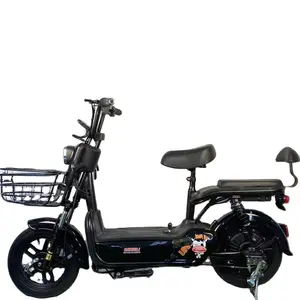 Hoge Kwaliteit Elektrische Fiets 500W Power Elektrische Scooter Smart Elektronisch Type Voor Volwassenen