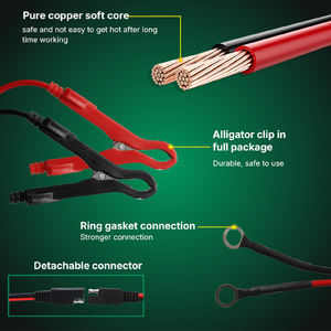 <span class=keywords><strong>Chargeur</strong></span> <span class=keywords><strong>de</strong></span> <span class=keywords><strong>batterie</strong></span> <span class=keywords><strong>de</strong></span> voiture au plomb-acide intelligent BYGD F3500 6V/12V 3.5A à 8 étapes <span class=keywords><strong>avec</strong></span> certification ETL - Product Image 3