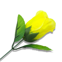 Roses décolorées (rouge change en jaune) Trucs de magie avec les roses Changement de couleur des roses pour la Saint-Valentin Trucs de magie avec les fleurs Jouets amusants