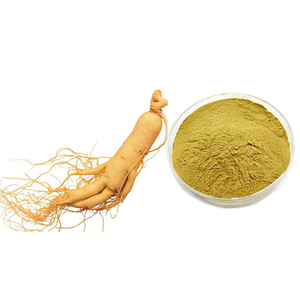 Bổ sung sức khỏe chiết xuất nhân sâm bột <span class=keywords><strong>ginsenoside</strong></span> - Product Image 1