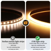 Vente directe usine – Bande LED COB flexible 3mm 5V/12V/24V USB découpable, température de couleur personnalisable pour aménagement paysager