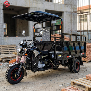 Motocicleta de Carga de Tres Ruedas con Volquete, de Gran Capacidad (2000 kg), 70 km/h, sin Escobillas, de Grado Comercial, ¡Venta Caliente! - Product Image 3