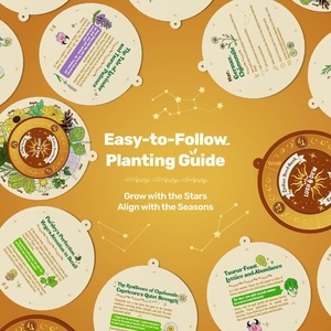 LUSH&DEW Jardin potager biologique non-OGM, 12 types de graines de légumes anciens, coffret magnétique du zodiaque, cadeau de jardinage pour pots de fleurs et jardinières - Product Image 5