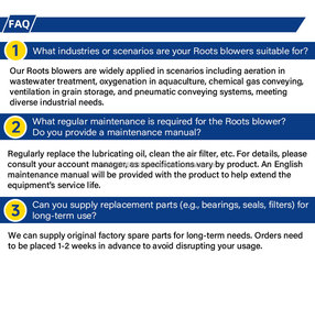 Souffleur à lobes électriques professionnel 220/380V pour le traitement des eaux usées et l'aquaculture - Product Image 6