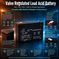 Batterie au plomb 12V/7Ah 12Ah pour pulvérisateur agricole électrique de type épaule et dos