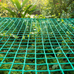 Professional <strong>Ball</strong> <strong>Stop</strong> <strong>Net</strong> for Hockey Tennis-Durable High Tenacity Polypropylene Material Cutting Service for Outdoor/Indoor Use - Product Image 1