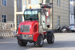 Schneller Versand CE OEM 1000kg Traglast Kompakter Mini-Teleskop-Radlader mit Euro5-Motor - Product Image 2