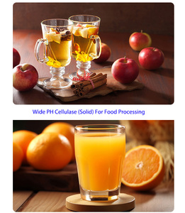 Sunson thực phẩm lớp cellulase enzyme (11000u/g, rộng ph) cho thủy phân cellulose để sản xuất glucose & Thấp phân tử sợi - Product Image 6