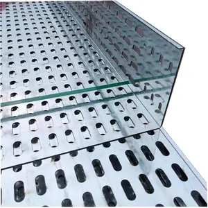 Cable Tray System Hot Dipped Galvanized Manufacturer GI HDG Perforated Trunking Ladder Type Cable Trays for Solar Energy