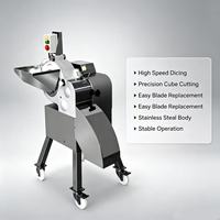 DQC-612D Hoge Snelheid Groente- en Fruit Snijmachine 304 RVS Snijder voor Centrale Keuken Voedselverwerkingsbedrijf