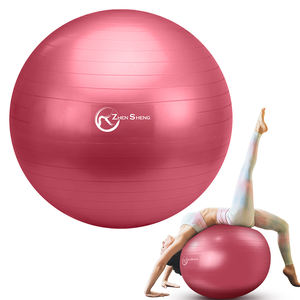 Ballon de yoga amincissant Zhensheng en gros, accessoire spécial pour les cours de réduction de graisse en salle de sport - Product Image 1