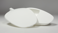 Bassin médical de haute qualité pour selles - Conception ergonomique facile à nettoyer avec couvercle - Idéal pour les soins aux personnes âgées PMEDFIDUSPWH