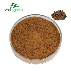 100% Natural Food Cosmetic Grade Dried Pomegranate Peel Extract 40% Ellagic Acid CAS 476-66-4