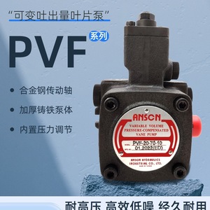 Pompe à palettes hydraulique Anscn PVF 20 70 10S 35 55 70W 10S Modèle à pression - Product Image 2