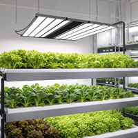 8 barres lumineuses LED modulaires indépendantes avec interface de raccordement RJ14 pour une utilisation en agriculture verticale à grande échelle