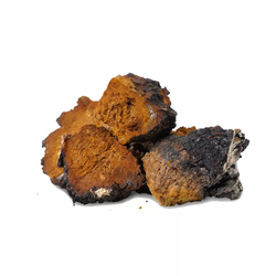 유기 차가 버섯 분말 Chaga 50% 다당류 - Product Image 4