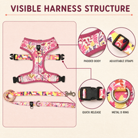 Ensemble Harnais, Collier et Laisse pour Animaux de Compagnie Imprimé par Sublimation, Écologique, Rembourré en Polyester et Néoprène, Type Gilet, Séchage Rapide – Vente Directe Usine