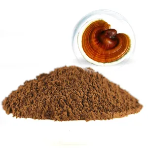 OEM puro ganoderma lucidum lingzhi hongo reishi en polvo