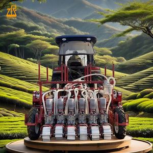 Sembradora Neumática de Precisión con Succión de Aire para Remolacha Dulce, Zanahoria y Hortalizas - <span class=keywords><strong>Precio</strong></span> - Product Image 2