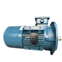 Moteur électrique triphasé WEG 15 kW 15 kW 20 ch 380 V avec boîtier en aluminium, marque WEG, moteur à induction WEG, moteur 125 ch