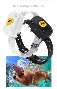 <span class=keywords><strong>Collar</strong></span> E ultrasónico para entrenamiento de perros, dispositivo de detención automático para ladridos, con control remoto - Product Image 2