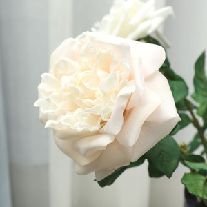 Rose D-Spray Real Touch Austin, Accessori per Fotografia, Decorazioni per la Casa - Rose Artificiali a Stelo Singolo, Vendita all'Ingrosso - Product Image 4