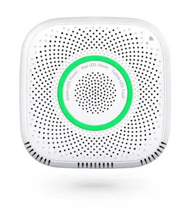 2023 prezzo di fabbrica lavoro autonomo UK/US/EU Plug Pin Smart Home WiFi Tuya rilevatore di Gas PST-WS2CG