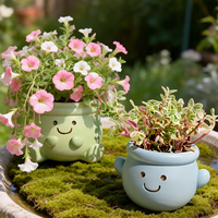 Pot de fleurs en résine style coréen, motif visage joyeux, avec trou de drainage, design léger, pour plantes succulentes, utilisation intérieure/extérieure
