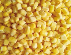 China Factory Experienced Iqf Vegetable Blanched Fresh Frozen Yellow Corn Kernel