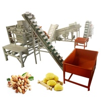 Machine à décortiquer les noix de noisette, les noix et les amandes et à séparer les noyaux de palmier, à haute productivité, en vente chaude