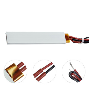 Élément Chauffant PTC 100*21*5mm pour Système d'Incubation 220V/12V – Panneau Chauffant PTC pour Incubateur - Product Image 2