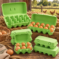 Boîte d'emballage en carton de pulpe verte personnalisée en gros, 6, 10, 15 trous, antichoc, de qualité alimentaire, pour œufs, avec logo