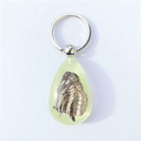 Pendentifs papillon acrylique véritable insecte créatif sac accessoires porte-clés véritable insecte papillon résine acrylique porte-clés créatif