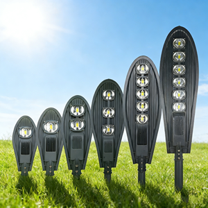 Lampadaires de rue de qualité supérieure, lampadaires en aluminium, étanches IP66, éclairage public, 30W 50W 100W 150W 200W 250W, lampadaires LED - Product Image 1