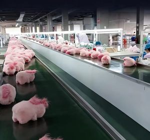 Peluche di Capibara da 8 Pollici, Giocattoli Interessanti e Carini, Regali Piccoli per Matrimoni e Feste Vendita Diretta dalla Fabbrica - Product Image 6