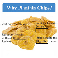 Trancheuse industrielle de chips de banane faisant la friture Ligne de production entièrement automatique de chips de plantain avec service d'installation