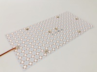Feuille LED Flexible Personnalisable CCT 2700K~6500K Blanc Tunable DC24V Panneau Lumineux 480x240mm 400 LED pour Panneau Publicitaire Commercial