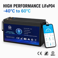 Paket Baterai Lifepo4 Grosir WLY 12v 10ah 20ah 50ah 100ah Baterai Lithium Ion Penyimpanan Baterai Isi Ulang