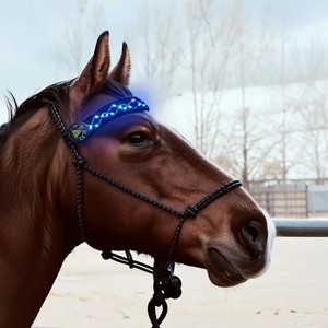 Collier de tête de cheval lumineux à LED équestre - Rechargeable, réfléchissant, respirant, utilisation estivale, polyester, nylon, réglable pour cheval - Product Image 2