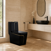 WC monobloc carré noir et or, vente chaude, WC en céramique à siphon avec design moderne et créatif pour salle de bain