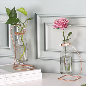 Florero de vidrio hidropónico con soporte de metal, transparente, colgante, tubo de vidrio - Product Image 4