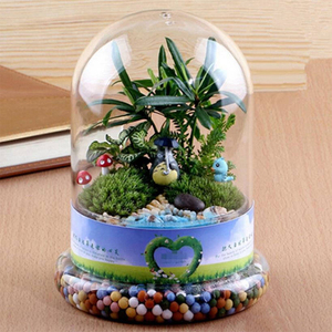 Moos-Mikrolandschaft Glasglocke Vase Sukkulenten Farn Moos Display Luftpflanzen Terrarium mit Sockel für Heimdekoration - Product Image 1