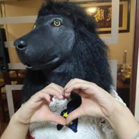 Masque en fourrure amusant et réaliste en forme de tête de chien Husky, caniche, loup, avec serre-tête, pour fête d'Halloween, cosplay, accessoires de costume pour animaux de compagnie