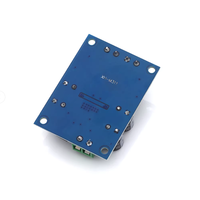 Module amplificateur de puissance audio XH-M311 Mono 60W, carte amplificateur audio TPA3118
