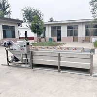 Huchuan Hoge Kwaliteit Ecologische Fruit & Groente Belletjesreinigingsmachine Sla Pompoen Verwerkingslijn 500kg/u Capaciteit