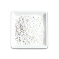 Perlite horticole de 3-6 mm : Optimise la croissance racinaire, rendue possible une production mensuelle constante pour les acheteurs de vergers et de semis de fruits.