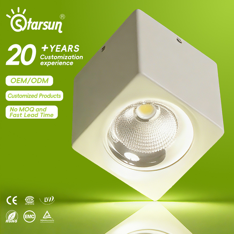 Multi Wattage CE Certified Surface Mounted