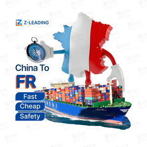 Tam konteyner <span class=keywords><strong>LCL</strong></span> + ekspres lojistik fransa sunan çin nakliye liman şirketleri için kapsamlı proje kargo hizmetleri - Product Image 1