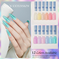 Vendeeni vente en gros gelée acrylique Poly Gel constructeur Gel pour l'extension des ongles 12 couleurs de haute qualité