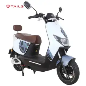 TAILG 베스트 셀러 자체 균형 E 스쿠터 50CC 클래식 오토바이 1000 와트 전기 오토바이 판매